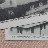 VECCHIE CARTOLINE COMO STABILIMENTO BACOLOGICO