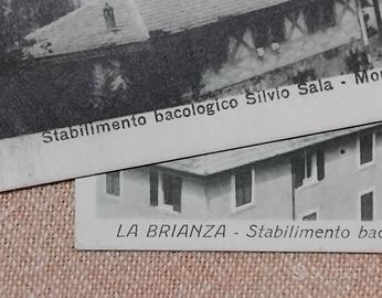 VECCHIE CARTOLINE COMO STABILIMENTO BACOLOGICO