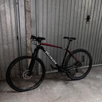 Specialized Epic