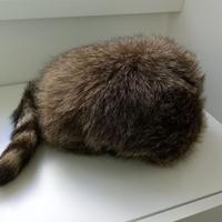 Cappello in vera pelliccia stile David Crockett