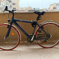 Bici Bianchi Sonic blu metallizzato