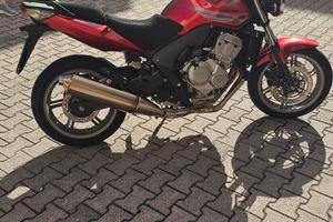 honda cbf 600
