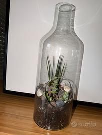 Terrarium