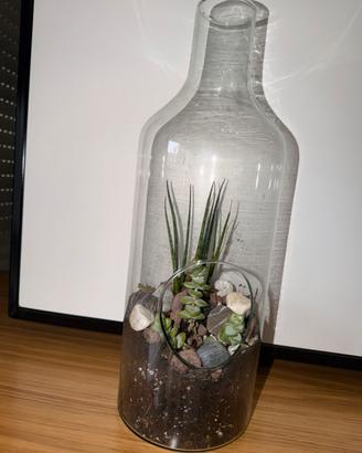 Terrarium