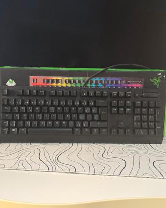 Tastiera BlackWidow V3