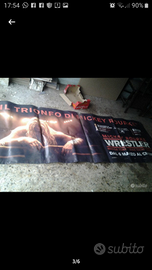 Grande striscione film Mikey rourge the wrestler