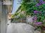 Immagine 11