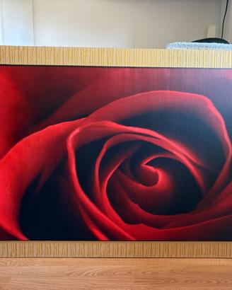 Quadro Rosa Con cornice oro