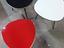Immagine 14