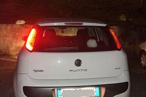 Fiat Punto evo Natural Power 2009 benzina/metano