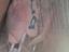 Immagine 5