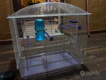 gabbia uccellini 