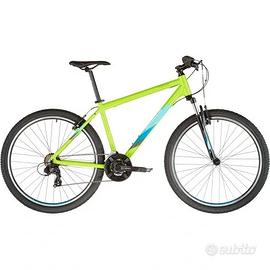 bicicletta mountanbike
