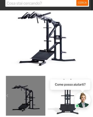 Hack squat  vicking press calf kingsgym palestra