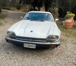 jaguar xjs 3.6
