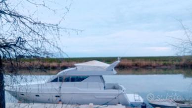 Mochi europa 40