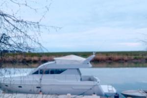 Mochi europa 40