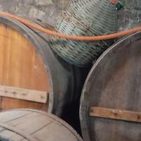 Botti in castagno complete