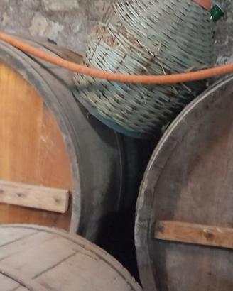 Botti in castagno complete