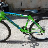 BICICLETTA MONTAINBIKE