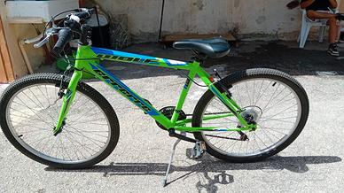 BICICLETTA MONTAINBIKE