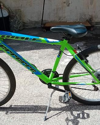BICICLETTA MONTAINBIKE