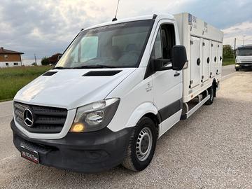 SPRINTER TRASPORTO GELATI