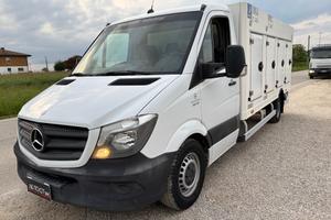 SPRINTER TRASPORTO GELATI