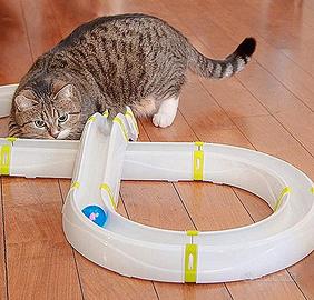 gioco gatti