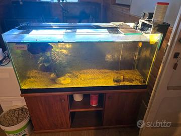 Acquario 300 litri con mobile