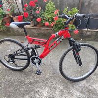 Bici bicicletta 24