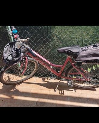 Bicicletta