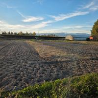 Vendita terreno agricolo