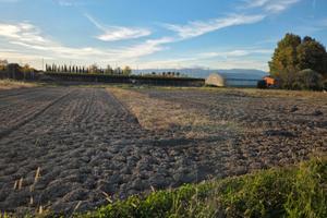 Vendita terreno agricolo