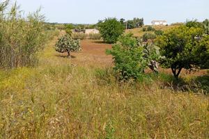Terreno con fabbricato rurale