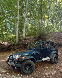Jeep wrangler yj 1994 4.0