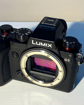 Lumix S5