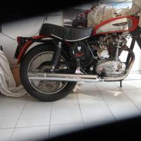Marmitta lunga Scrambler 350