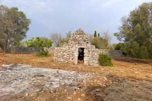 RUSTICO A CEGLIE MESSAPICA