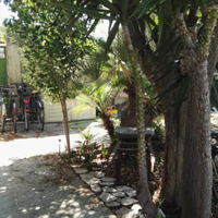 Monolocale 350 MT dal mare