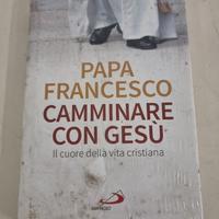 LIBRO PAPA FRANCESCO CAMMINARE CON GESÙ 