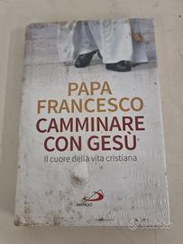 LIBRO PAPA FRANCESCO CAMMINARE CON GESÙ 