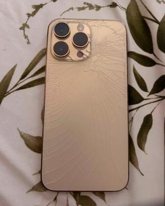 Ipfone 13 pro max