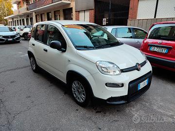fiat panda 