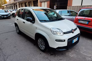 fiat panda 