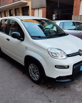 fiat panda 