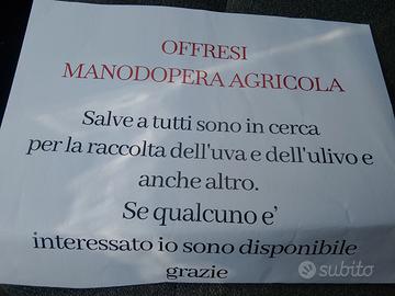 Operaio agricolo