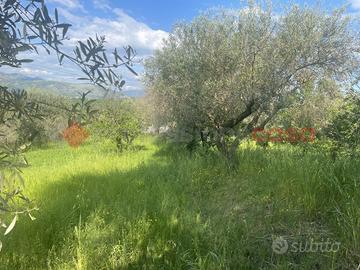 Terreno Residenziale Minturno [V269VRG]