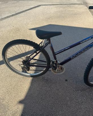 Bici da donna