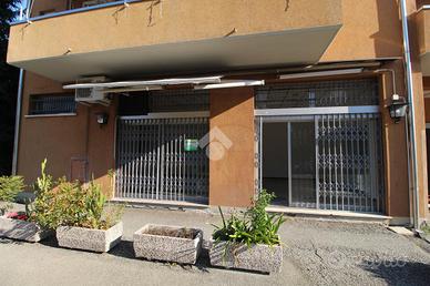 NEGOZIO A BAGNOLO IN PIANO